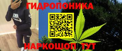spice Мариинск