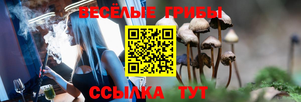 Псилоцибиновые грибы Magic Shrooms Татарск